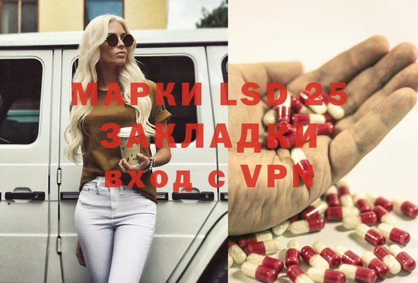твердый Абаза
