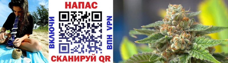 где купить наркотик Урень Шишки марихуана конопля
